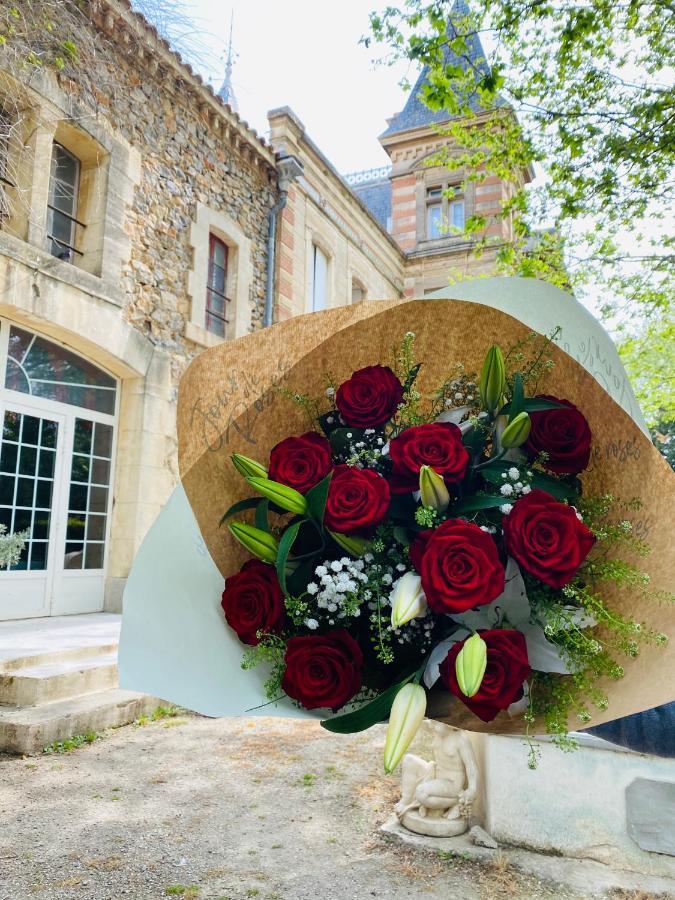 Chateau De La Prade Narbonne Luaran gambar